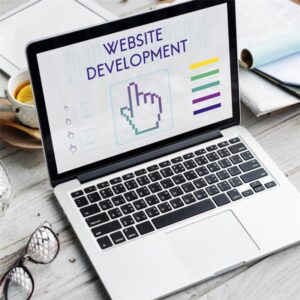 Custom Web Development